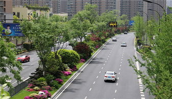 特色蘊(yùn)于細(xì)節(jié)，匠心鑄就精品——論綠化工程的卓越之道