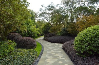 緊跟時(shí)代潮流，金英園林一站式園林綠化提升新時(shí)代園林體驗(yàn)