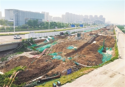 金灣“情侶路”綠化工程加速推進(jìn)，航展前有望“迎客”