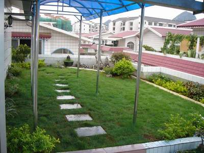 屋頂綠化工程 技術(shù)與生態(tài)價值的融合