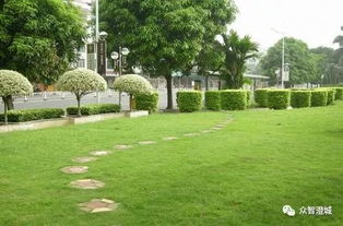 江陰市出臺新規(guī) 信用評價納入園林綠化工程招投標(biāo)核心指標(biāo)