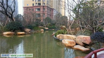 精品園林獎金獎項(xiàng)目 和協(xié)·風(fēng)格尚品室外景觀及綠化工程的藝術(shù)與匠心